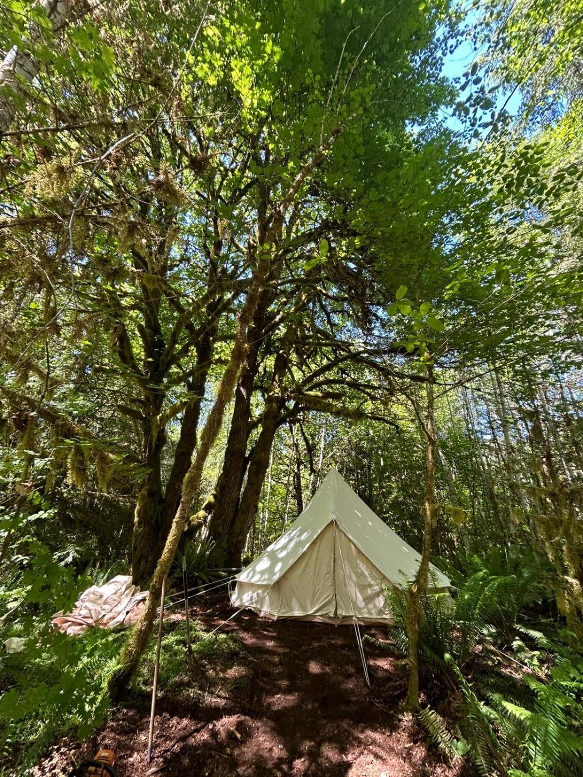 Hotel Olympic Glamping Port Angeles Exterior foto